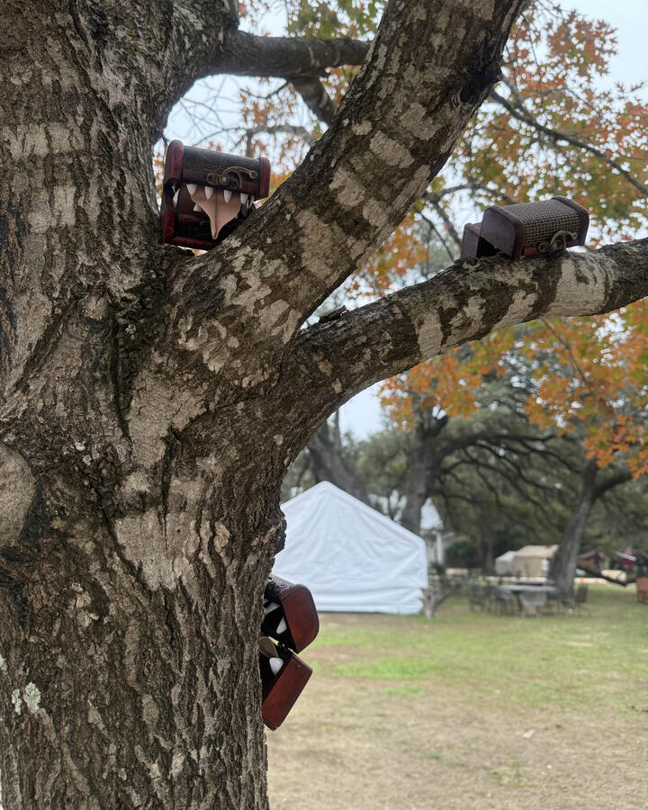 Climbing the Trees in their freakish way. Climbing the Trees in their freakish way.