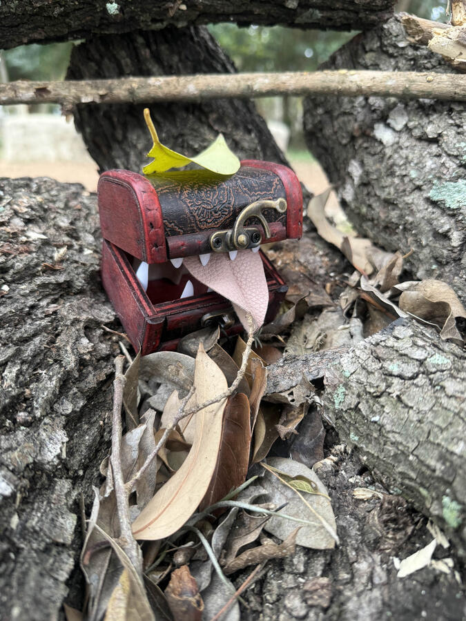 Snap having some fun with leaves. Snap having some fun with leaves.